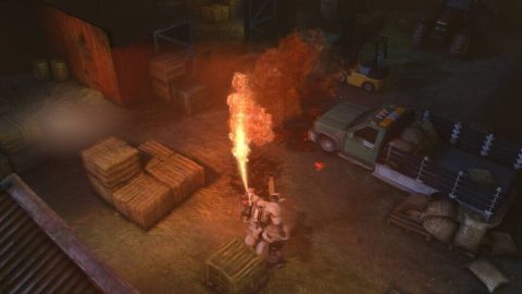 Image in-game