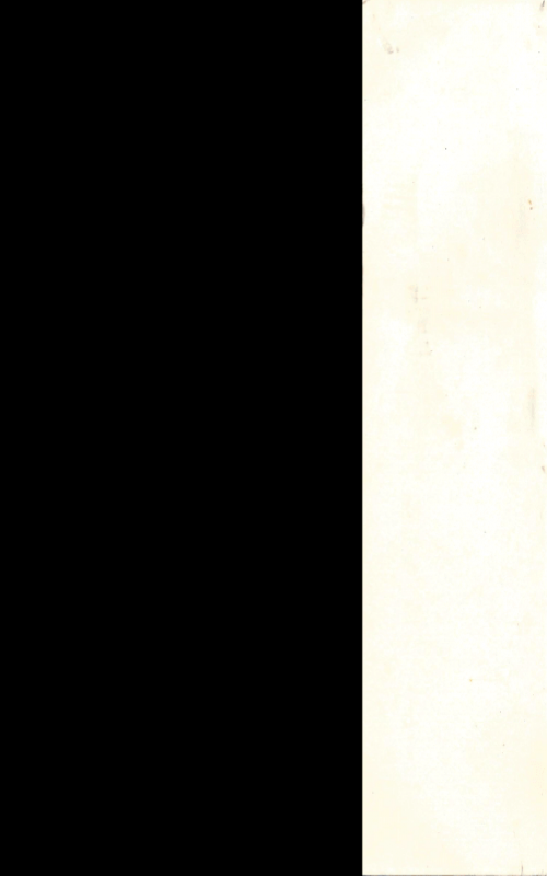 Custard Pie Factory - Dos