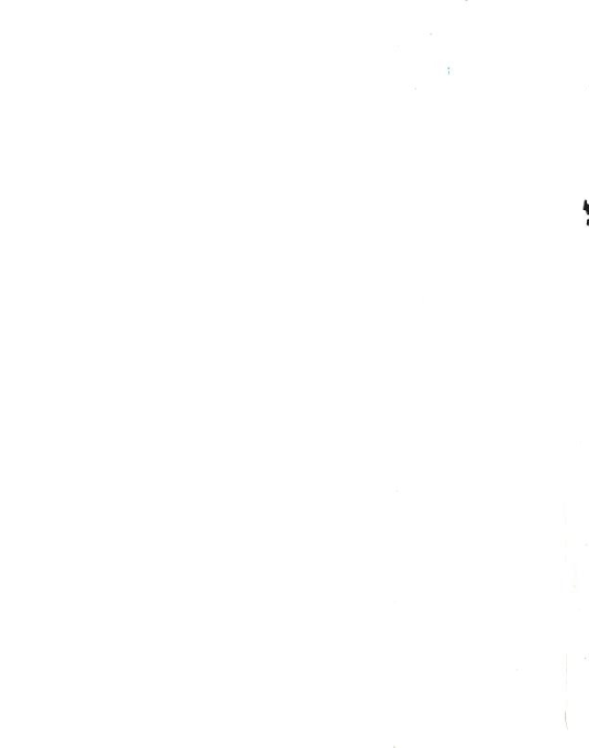 Castle Of The Skull Lord - Dos