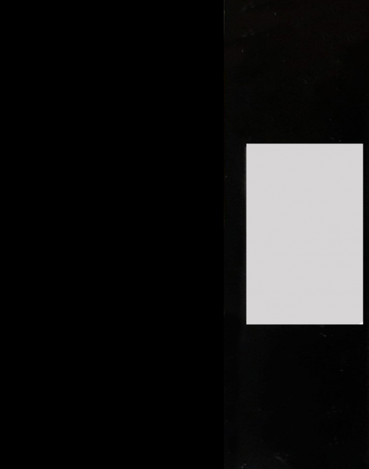 911 Tiger Shark - Dos