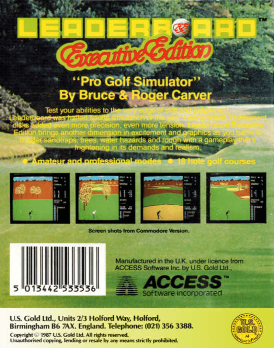 Leaderboard Executive - Dos