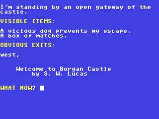 Image in-game