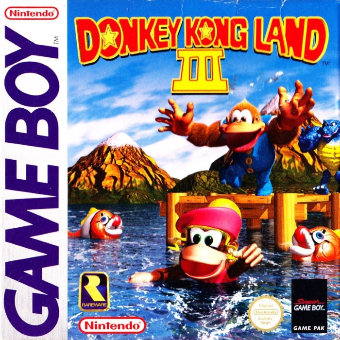 Donkey Kong Land III