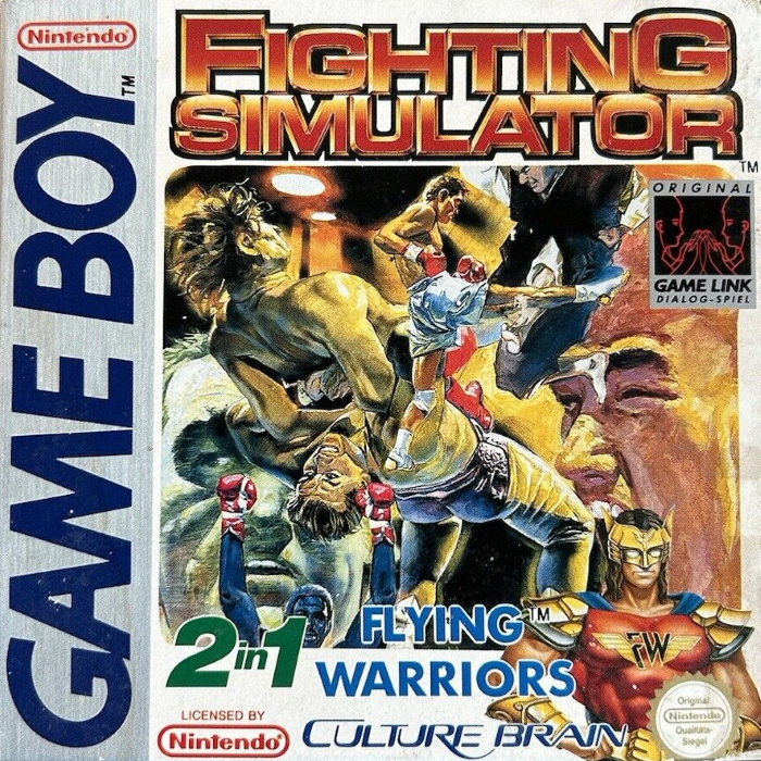 Fighting Simulator 2 in 1