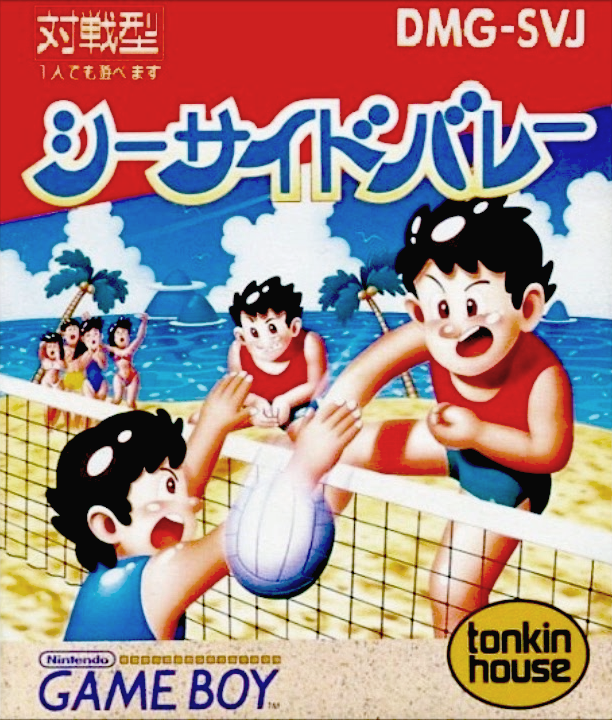 Malibu Beach Volleyball