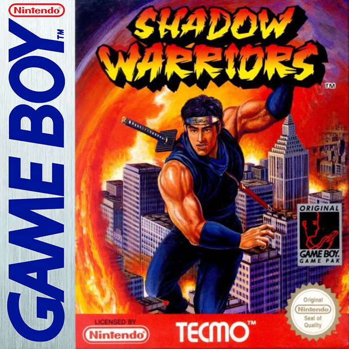 Ninja Gaiden Shadow