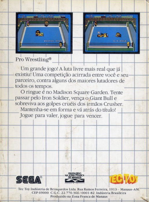 Pro Wrestling - Dos