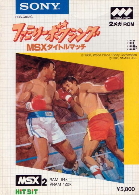 Family Boxing