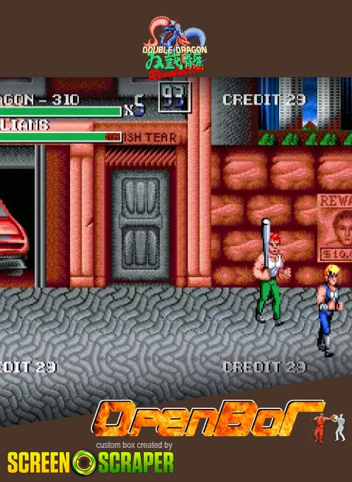 Double Dragon Revolution