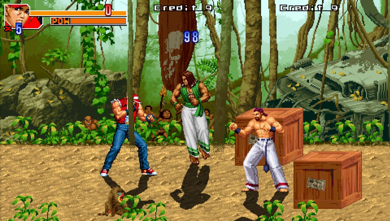 Image in-game