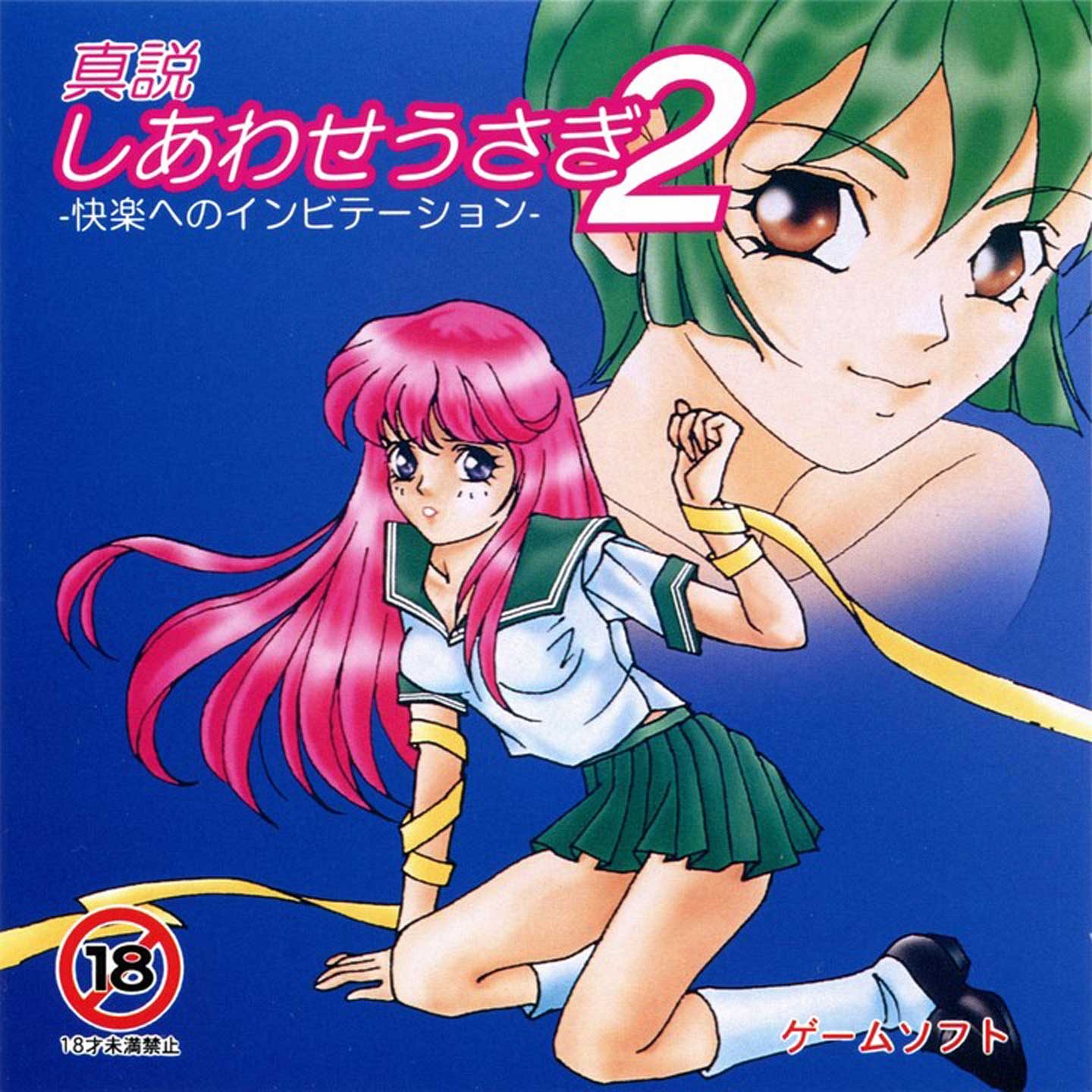 Shinsetsu Shiawase Usagi 2 - Kairaku E No Invitation