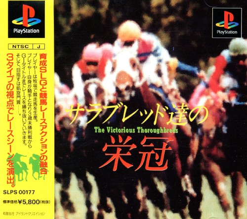 Thoroughbred Tatsu No Eikan - The Victorious Thoroughbred's