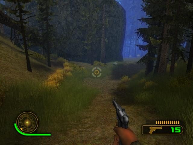 Image in-game