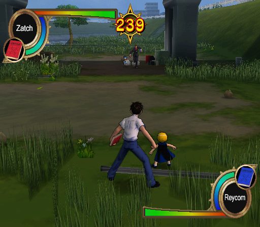 Image in-game