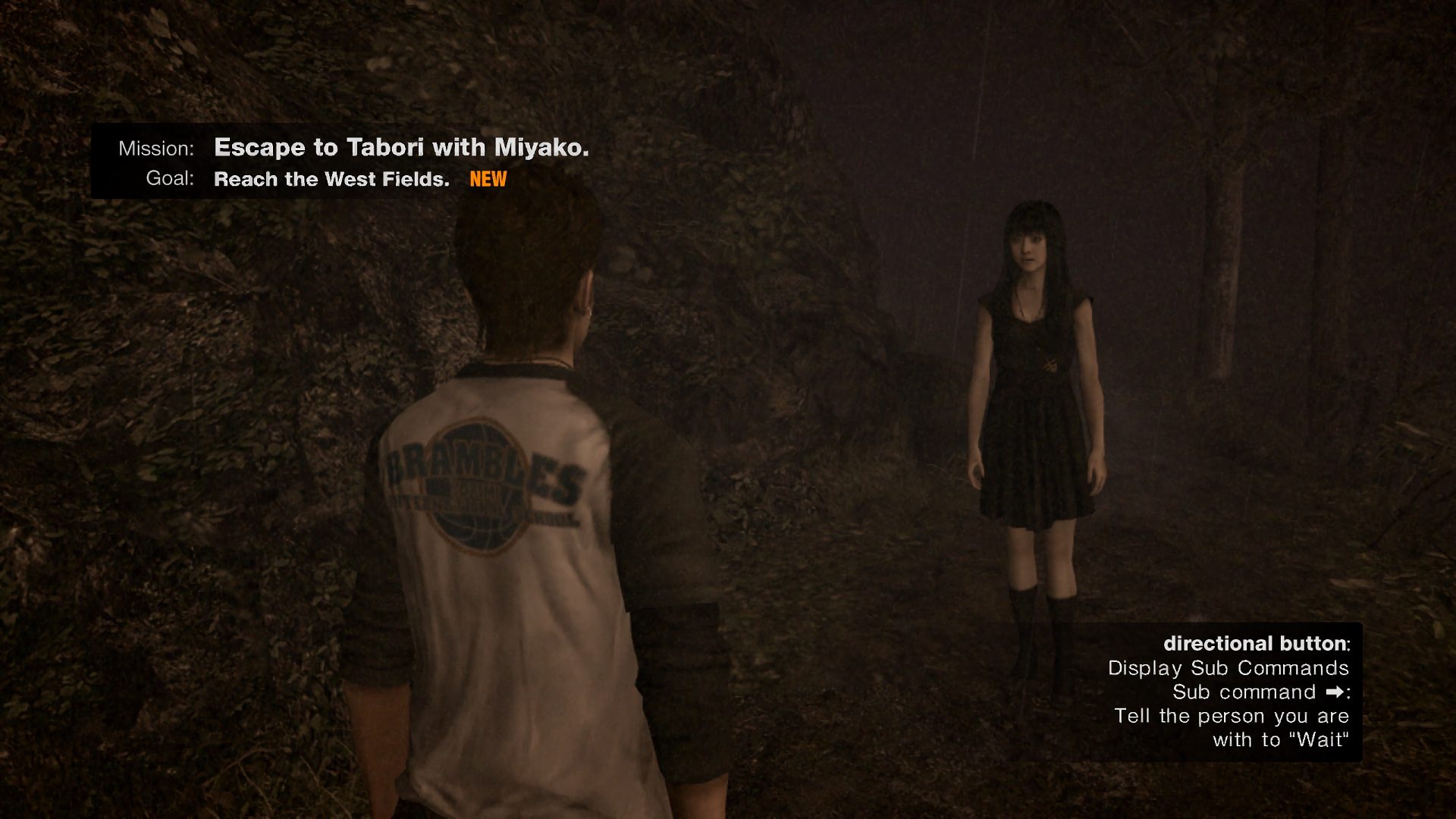 Image in-game