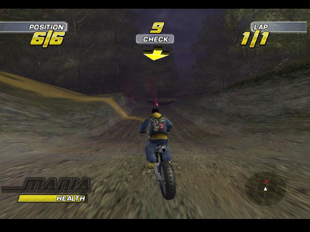 Image in-game